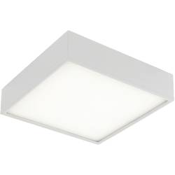 ECO-Light LED-KLIO-Q21 LED-KLIO-Q21 LED stropní svítidlo LED 36 W bílá