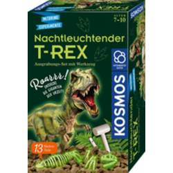 Kosmos 658021 T-REX experimentální, Mitbring Experimente, stavebnice, dinosauři & sada vykopávek experimentální sada, od 7 let