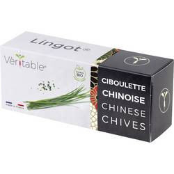 Veritable Náplň do vnitřní zahrady Lingot Chinesischer Schnittlauch - Organic 128 mm 1 ks