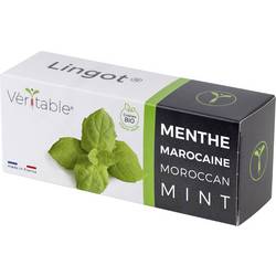 Veritable Náplň do vnitřní zahrady Lingot Marokkanische Minze - Organic 128 mm 1 ks