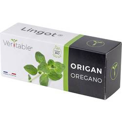 Veritable Náplň do vnitřní zahrady Lingot Oregano - Organic 128 mm 1 ks