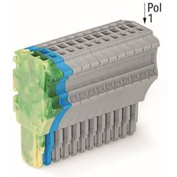 WAGO 2020-114/000-039 pružinová svorkovnice zelená, žlutá, modrá, šedá 10 ks